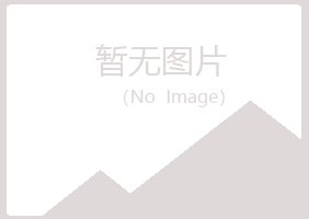 西安新城女孩采矿有限公司